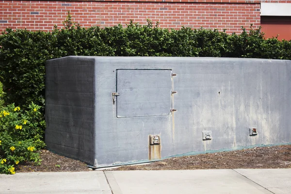 Sarı çiçek ve yeşillik ile tuğla duvar dışında gizli kilitli göğüs