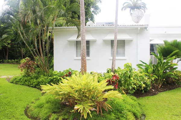 Plants in backyard garden and white house