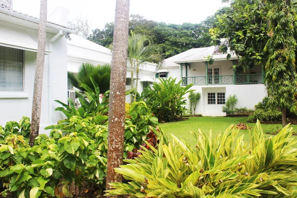 Beyaz Saray ve arka bahçe 