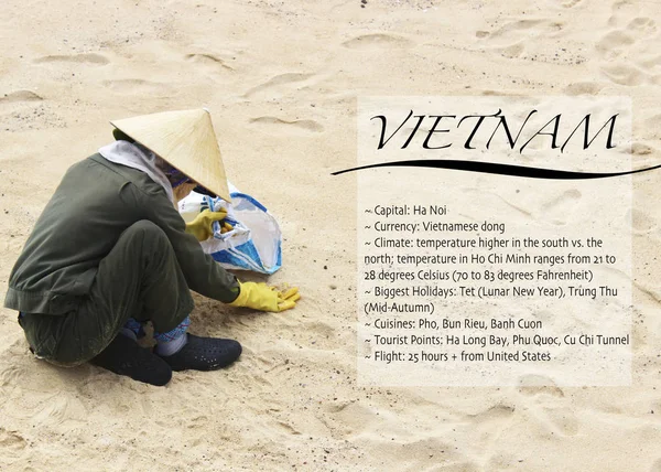Vietnam turizm bilgi grafik illüstrasyon 