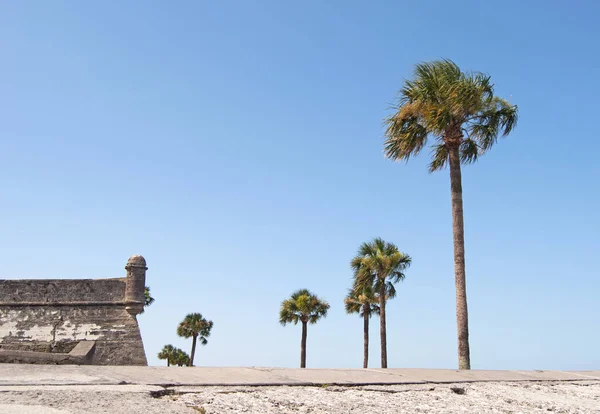 View Castillo San Marcos Fort Walls Towers Surrounding Fields Palm — Stock Photo, Image