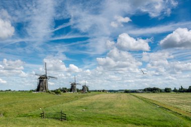 yeşil çim, Leidschendam, Güney Hollanda, Hollanda üzerinde Antik yel değirmenleri
