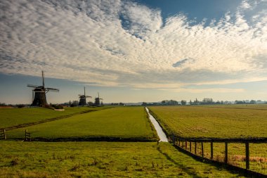 yeşil çim, Leidschendam, Güney Hollanda, Hollanda üzerinde Antik yel değirmenleri
