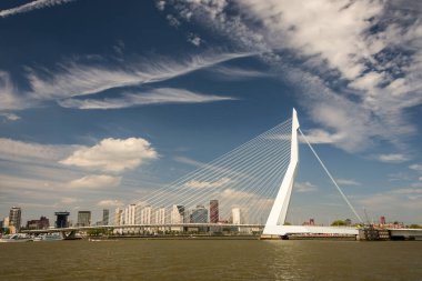 Rotterdam şehrinin manzarası Erasmus Köprüsü ve Nieuwe Maas (Rhine) nehri önünde. Güney Hollanda, Hollanda. 