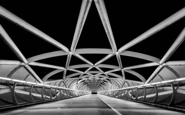 Ponte Bicicleta Preto Branco Chamada Groene Verbinding Países Baixos — Fotografia de Stock