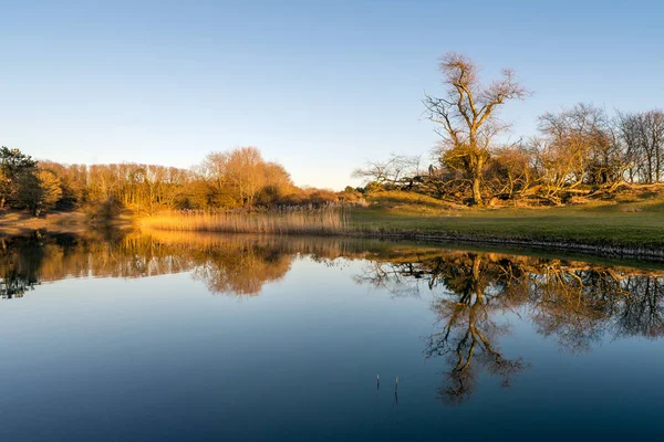 Landskap Amsterdam Vattenförsörjning Dynerna Nära Till Amsterdam Och Zandvoort Nederländerna — Stockfoto