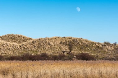 güneşli bir gün güzel manzaralı