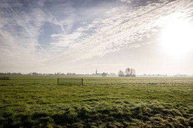 Tipik Hollanda manzara, çiftlikte sabah güneşi