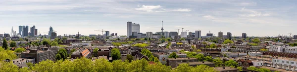Rotterdam, Hollanda - Haziran, 2019: Panoramik şehir manzarası.