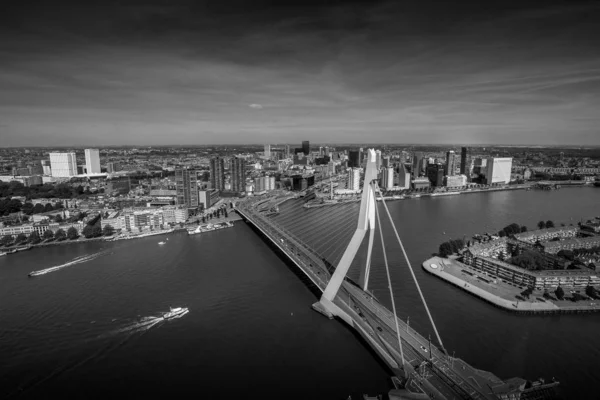 Rotterdam Nizozemsko Červen 2019 Letecký Pohled Budovy Erasmus Bridge Mrakodrapy — Stock fotografie