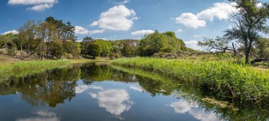 Amsterdamse waterleidingduinen denilen Hollanda manzarası. Bulut manzarası