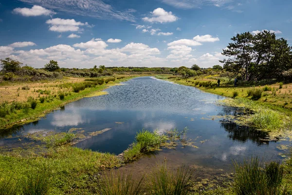 Dutch landscape called Amsterdamse waterleidingduinen. Cloud landscape