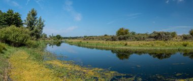 Amsterdamse waterleidingduinen denilen Hollanda manzarası. Bulut manzarası