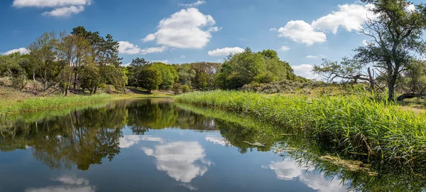 Dutch landscape called Amsterdamse waterleidingduinen. Cloud landscape