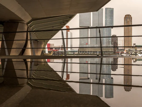 Una Giornata Piovosa Rotterdam Con Ponte Erasmus — Foto Stock