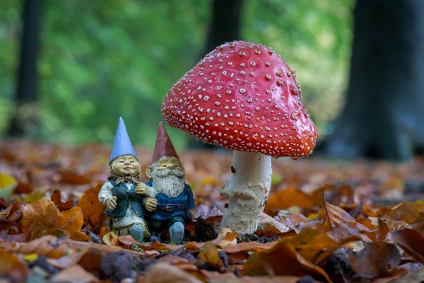 Nahaufnahme Wachsender Fliegenpilze Und Gnome — Stockfoto