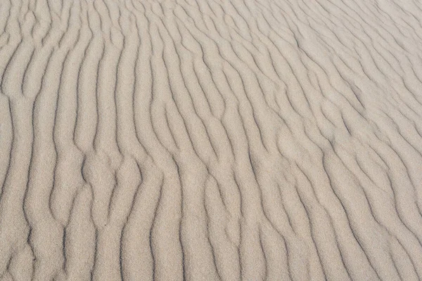 Sand Dunes Desert Stock Image