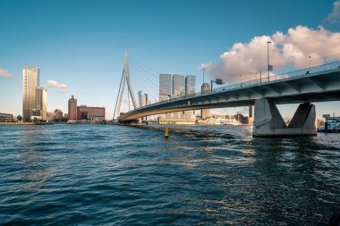 Erasmus Köprüsü ile Rotterdam kenti