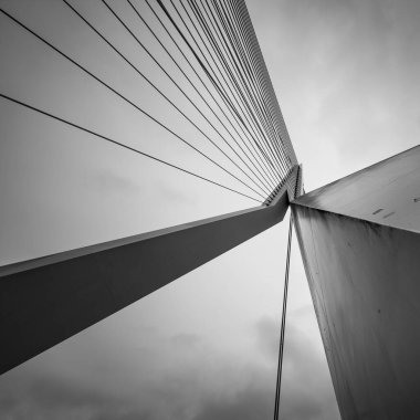 Hollanda 'daki Erasmus Köprüsü Rotterdam - hatları