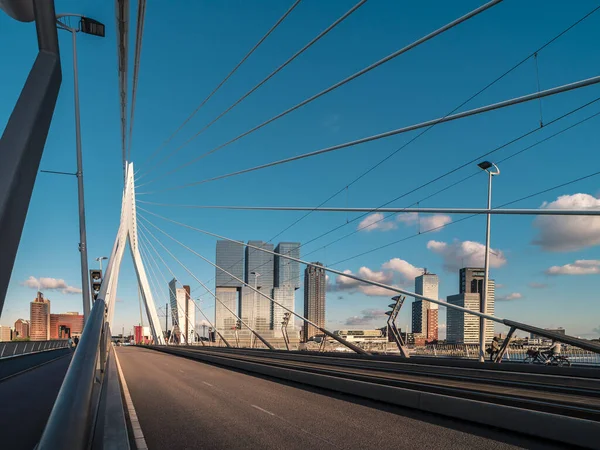 Hollanda 'daki Rotterdam' daki Erasmus Köprüsü 'nde güzel mavi bir gökyüzü var.