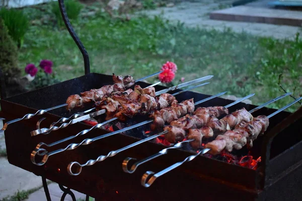 Carne Sugli Spiedini Arrostita Sul Fuoco — Foto Stock