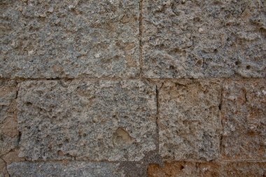 Deniz kabuklu taş duvar dokusu. Arkaplan