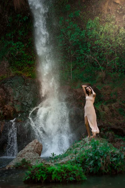 性感的女人在绿色热带植物的岩石上摆姿势，并 — 图库照片