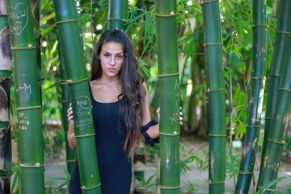 Retrato de moda de mujer hermosa. Bosque de bambú —  Fotos de Stock