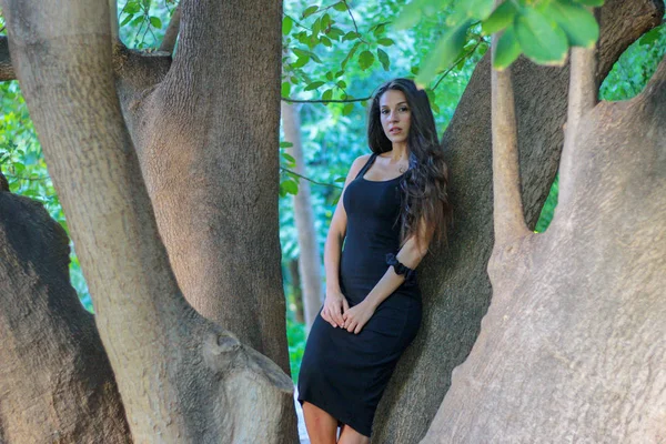 Girl in front of a giant tree — Stock Photo, Image