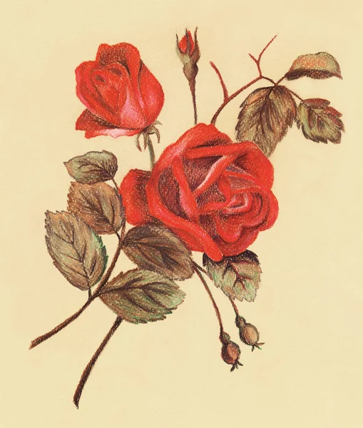 Pastel Deux Roses Sauvages Rouges Sur Papier Artisanal — Photo