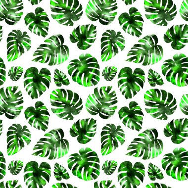 Sulu boya çizilmiş tropikal monstera Dikişsiz desen beyaz zemin üzerine bırakır.