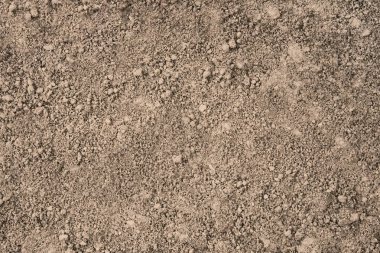 Yeryüzünden gelen kırmızı kil, yağmur yağdıktan sonra