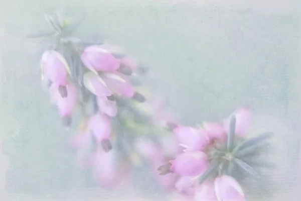 Маленькие Розовые Цветочки Розовых Тонах Зеленом Тусклом Фоне Навязанной Фактурой — стоковое фото