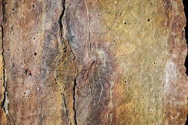 Renk parlak doku pas görünen ile yıkılan beton ve stil grunge çatlaklar parlak güneşli gün