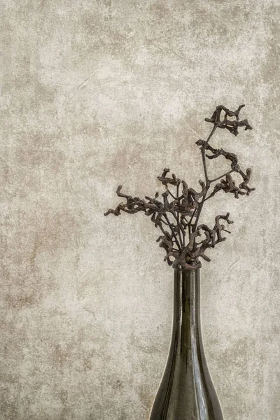 A bouquet of twigs and stems of the Candy Tree in a vase on a grunge wall background