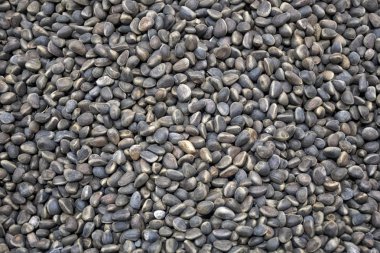 Çam fıstığı peel piyasa somun doku tezgaha üzerinde bir saçılma