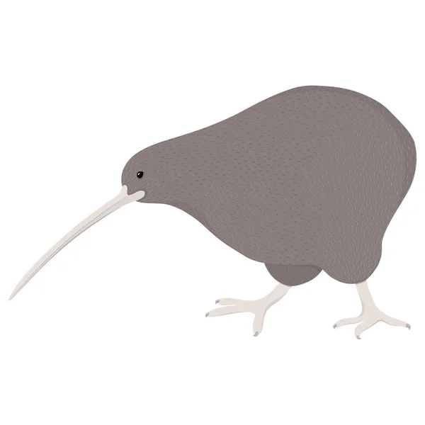 Oiseau kiwi national néo-zélandais en style plat. Illustration vectorielle — Image vectorielle