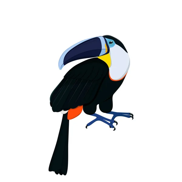 Oiseau tropical Famille toucan de toucans sur fond blanc. Vecte — Image vectorielle