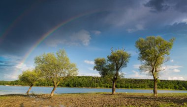 Gökkuşağı manzaralı göl kenarındaki ağaçlar