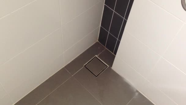 Humano Verter Líquido Limpieza Baño Suelo — Vídeo de stock