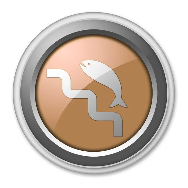 Εικονίδιο Κουμπί Εικονόγραμμα Σύμβολο Fish Ladder — Φωτογραφία Αρχείου