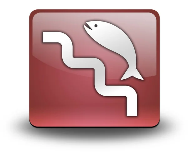 Icon Button Pictogram Fish Ladder Symbol — Stock Photo, Image