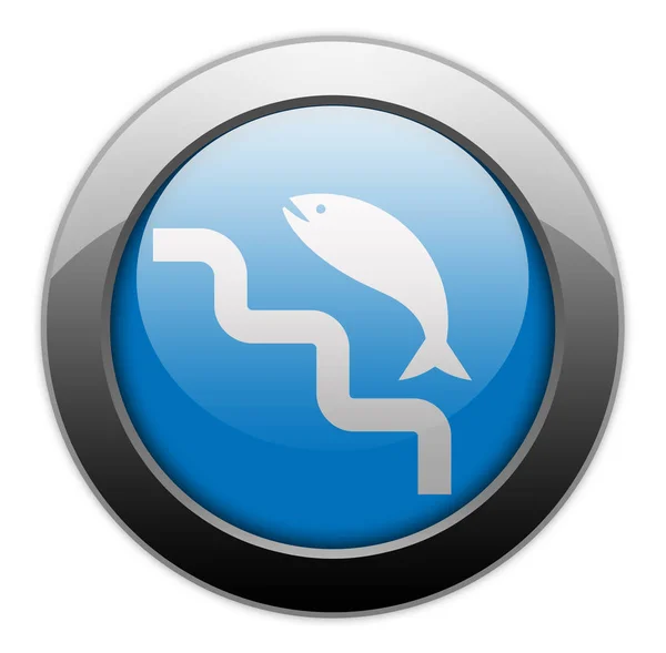Ikon Knapp Piktogram Med Fiskstege Symbol — Stockfoto