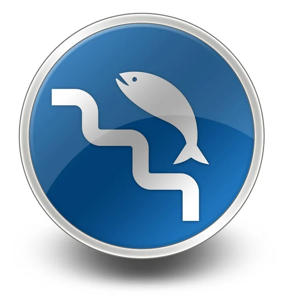 Icon Button Pictogram Fish Ladder Symbol — Stock Photo, Image