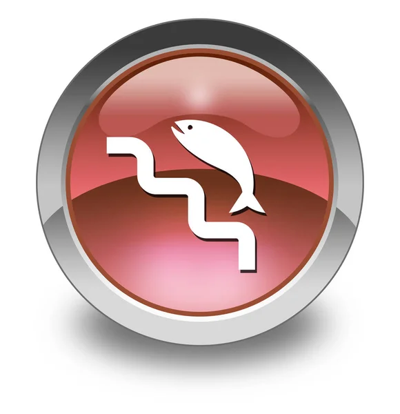 Εικονίδιο Κουμπί Εικονόγραμμα Σύμβολο Fish Ladder — Φωτογραφία Αρχείου