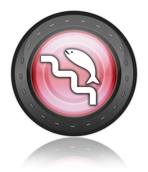 Symbol Taste Piktogramm Mit Fischleitersymbol — Stockfoto