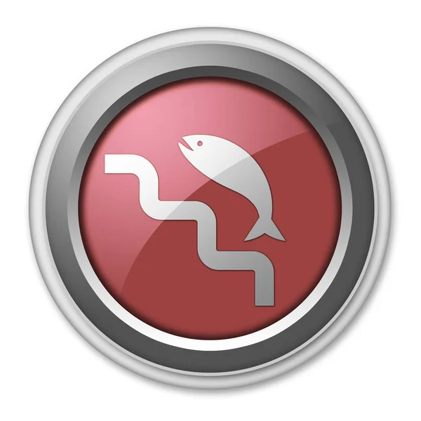 Icon Button Pictogram Fish Ladder Symbol — Stock Photo, Image