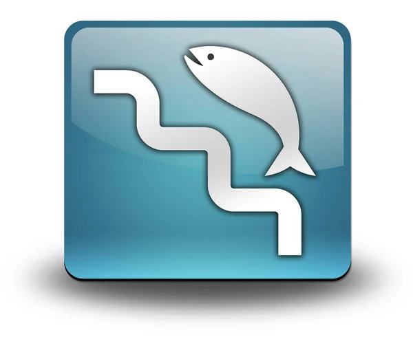 Icon Button Pictogram Fish Ladder Symbol — Stock Photo, Image