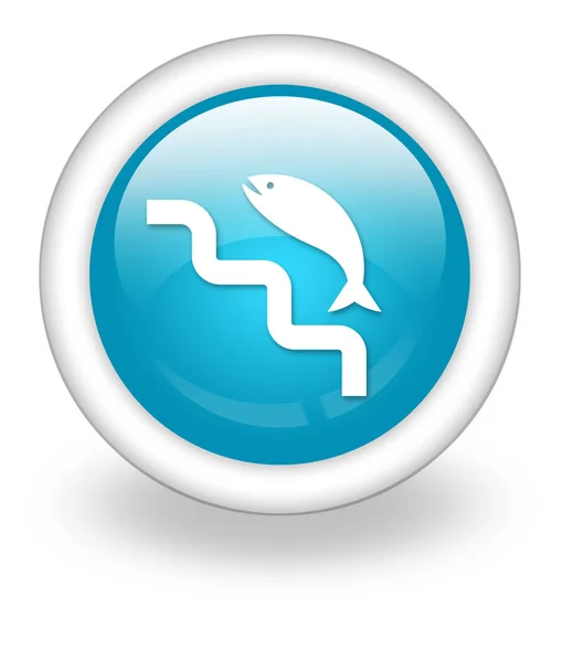 Icon Button Pictogram Fish Ladder Symbol — Stock Photo, Image