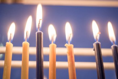 gün batımından itibaren arkadan aydınlatmalı çimde otlayan zebra ön